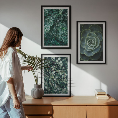 Wall art set Succulents