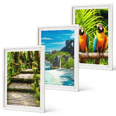 Tropical forest parrot waterfall wall art set 