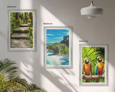 Tropical forest parrot waterfall wall art set 