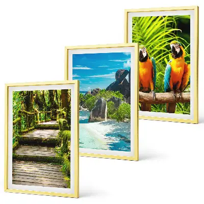 Tropical forest parrot waterfall wall art set 