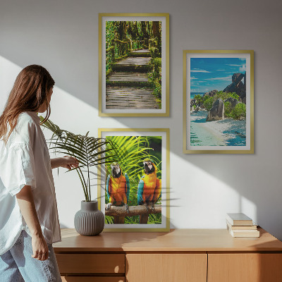Wall art set Tropical forest parrot waterfall