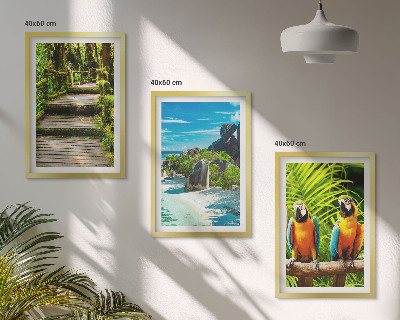 Wall art set Tropical forest parrot waterfall