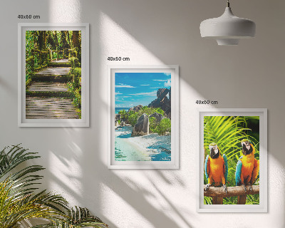 Wall art set Tropical forest parrot waterfall