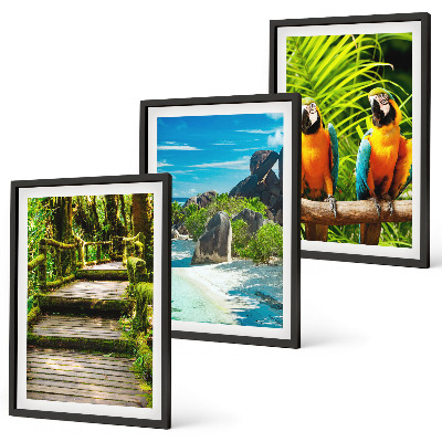 Wall art set Tropical forest parrot waterfall