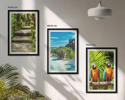 Tropical forest parrot waterfall wall art set 