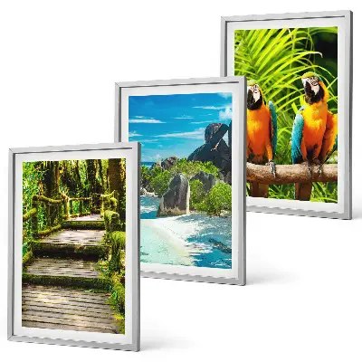Tropical forest parrot waterfall wall art set 