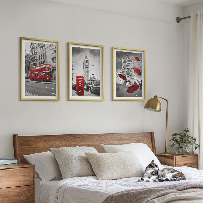 Set of 3 framed wall art pieces Red Accents London