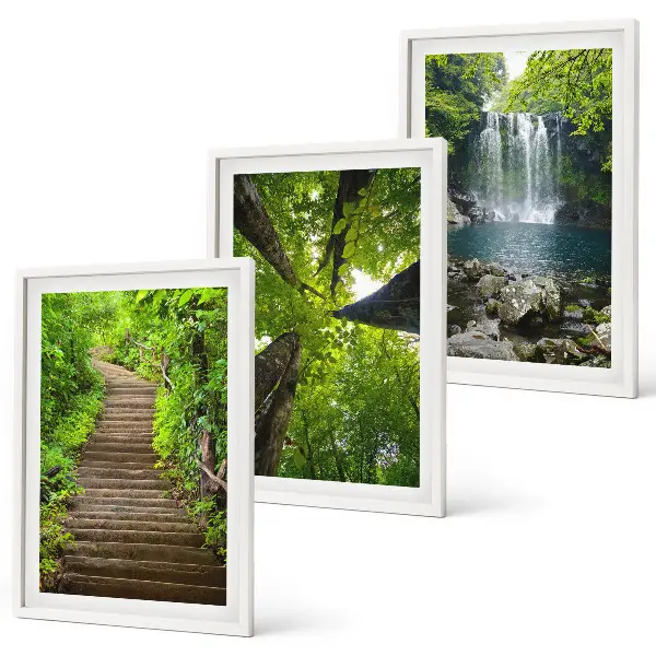 Set of 3 framed wall art pieces featuring a forest path with a waterfall and lush vegetation