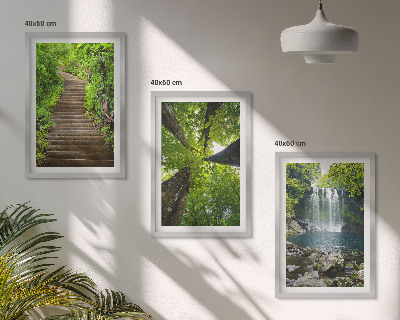 Set of 3 framed wall art pieces Path forest waterfall vegetation