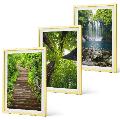 Set of 3 framed wall art pieces Path forest waterfall vegetation