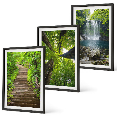 Set of 3 framed wall art pieces Path forest waterfall vegetation
