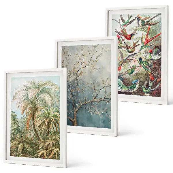 Wall art set tropical plants and birds nature theme