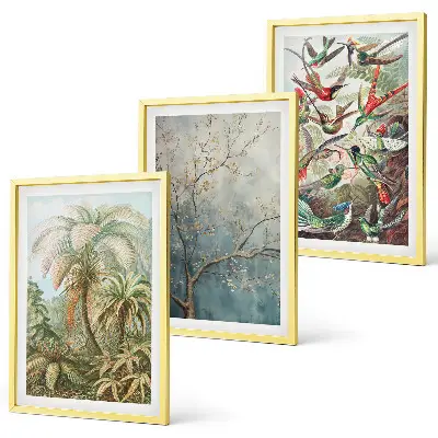 Wall art set tropical plants and birds nature theme