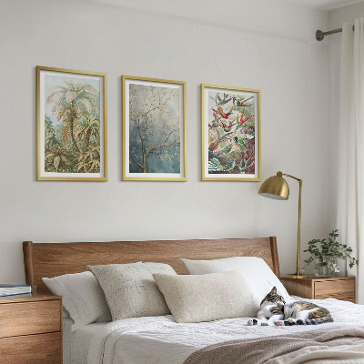 Wall art set Tropical plants birds nature