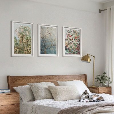Wall art set Tropical plants birds nature