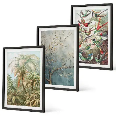 Wall art set tropical plants and birds nature theme