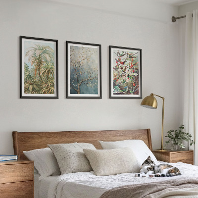 Wall art set Tropical plants birds nature