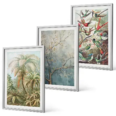 Wall art set tropical plants and birds nature theme