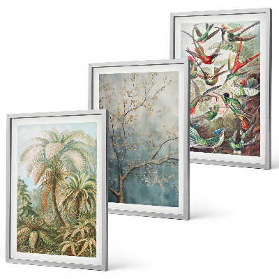 Wall art set Tropical plants birds nature