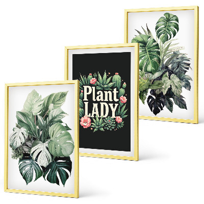 Three-piece wall art piece Tropical plants Plant Lady
