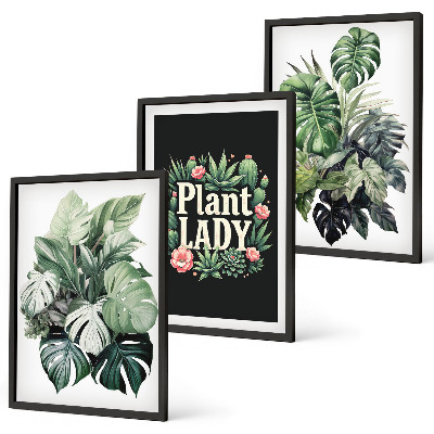 Three-piece wall art piece Tropical plants Plant Lady