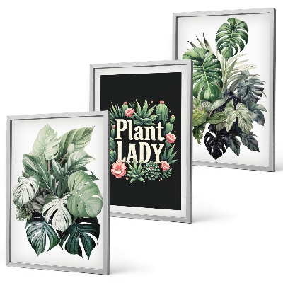 Three-piece wall art piece Tropical plants Plant Lady