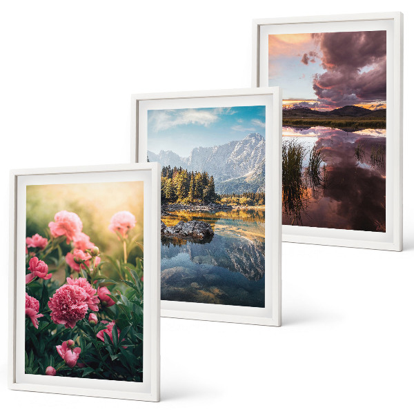 Wall art set Flowers garden mountains water