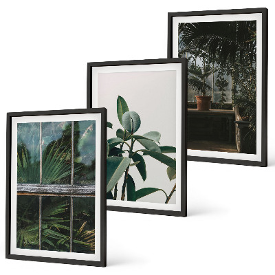 Three-piece wall art piece Green leaves on the window plant