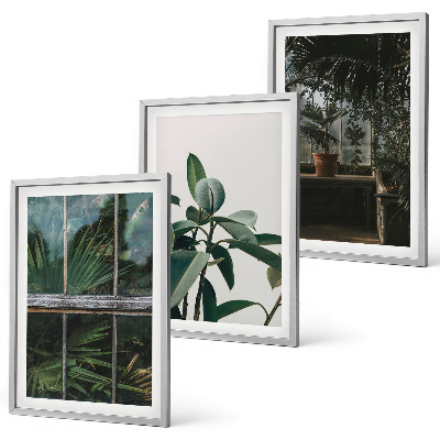 Three-piece wall art piece Green leaves on the window plant