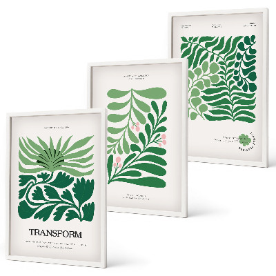 Set of 3 framed wall art pieces Green leaf plant shapes