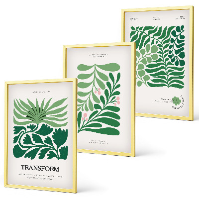 Set of 3 framed wall art pieces Green leaf plant shapes