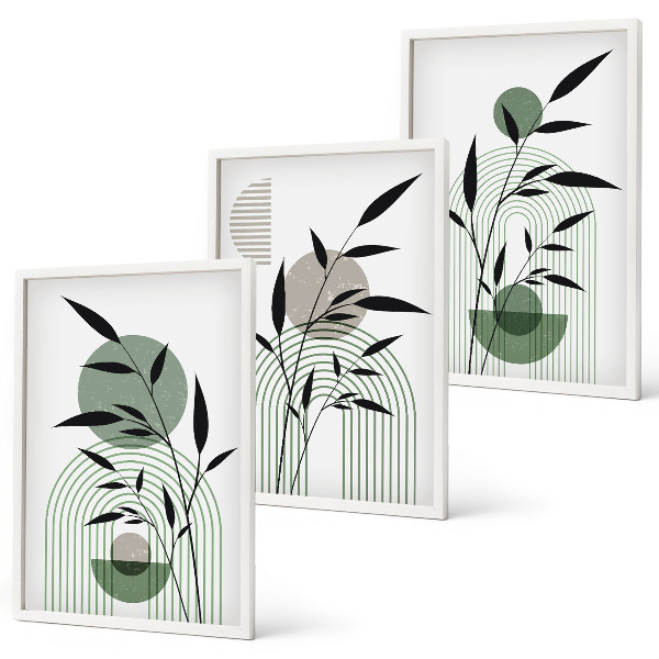 Three-piece wall art piece Boho plant compositions