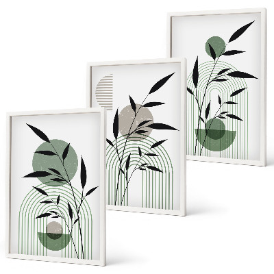 Three-piece wall art piece Boho plant compositions