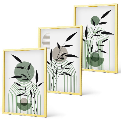 Three-piece wall art piece Boho plant compositions