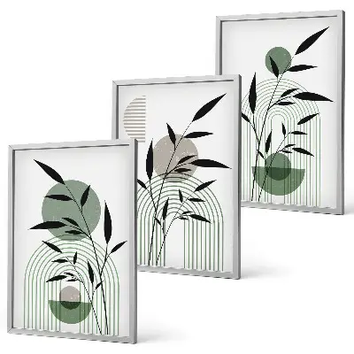 Boho plant compositions three-piece wall art set