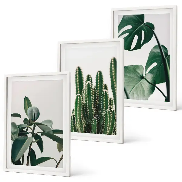Three-piece wall art set with tropical plants aesthetic