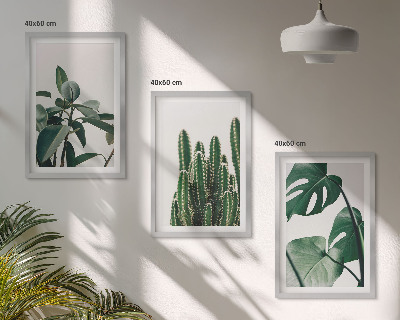 Three-piece wall art piece Tropical aesthetic plants
