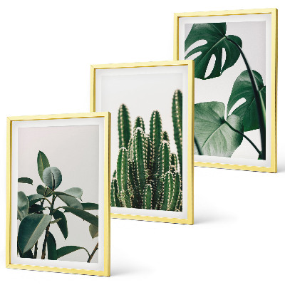 Three-piece wall art piece Tropical aesthetic plants