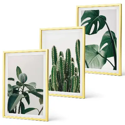 Three-piece wall art set with tropical plants aesthetic