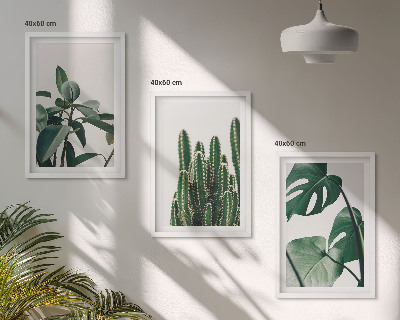 Three-piece wall art piece Tropical aesthetic plants