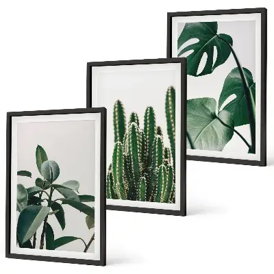 Three-piece wall art set with tropical plants aesthetic