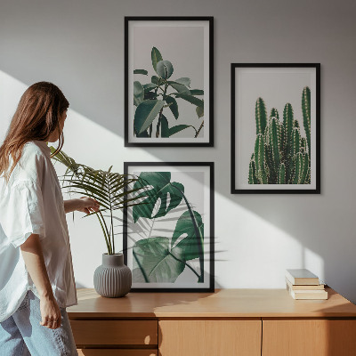 Three-piece wall art piece Tropical aesthetic plants