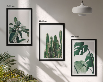 Three-piece wall art piece Tropical aesthetic plants