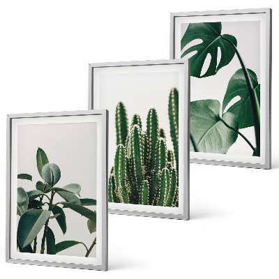 Three-piece wall art piece Tropical aesthetic plants