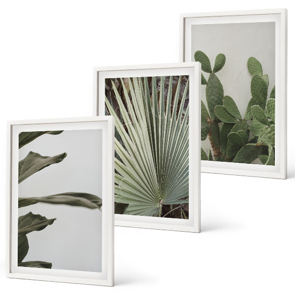 Three-piece wall art piece Leaves of tropical plants pastel