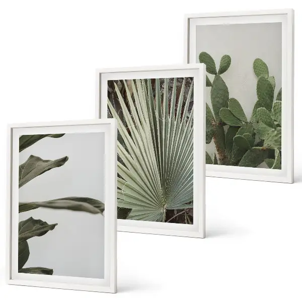 Tropical plant leaves wall art three-piece pastel set