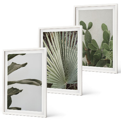Three-piece wall art piece Leaves of tropical plants pastel
