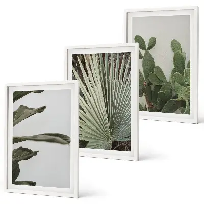 Tropical plant leaves wall art three-piece pastel set