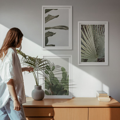 Three-piece wall art piece Leaves of tropical plants pastel