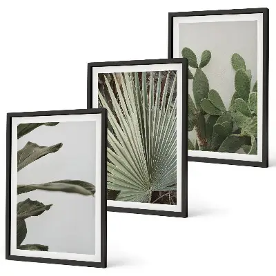 Tropical plant leaves wall art three-piece pastel set